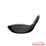 Gậy Golf Wood Titleist GT2