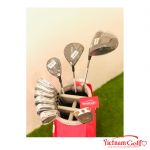 Fullset Taylormade Qi10 Laddy