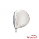 Fullset XXIO XX13 Pearl White L